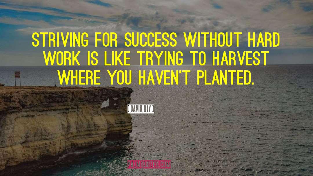 Striving For Success quotes by David Bly