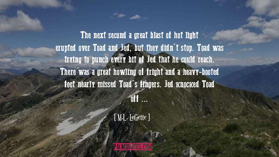 Strobe Light quotes by M.L. LeGette