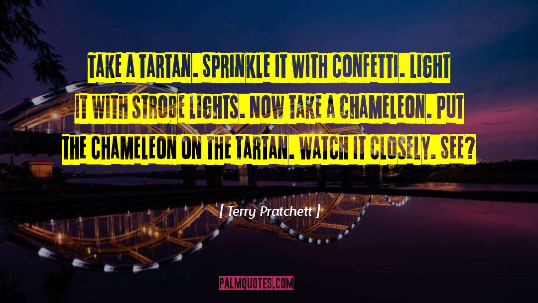 Strobe Lights quotes by Terry Pratchett