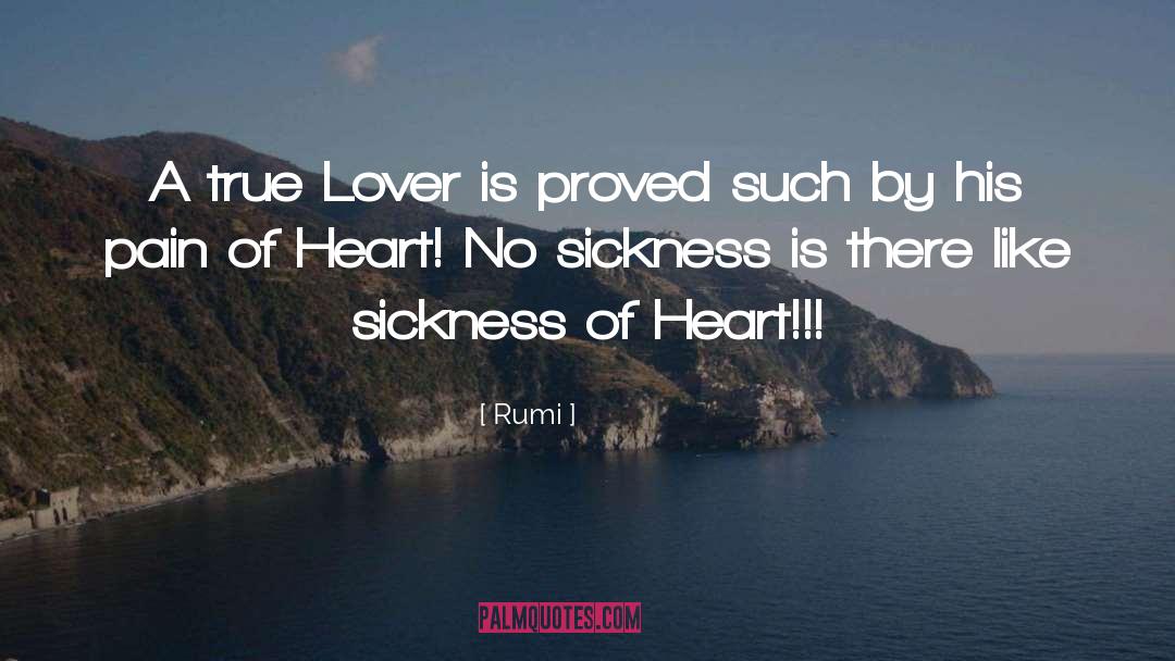 Stroked By Pain quotes by Rumi