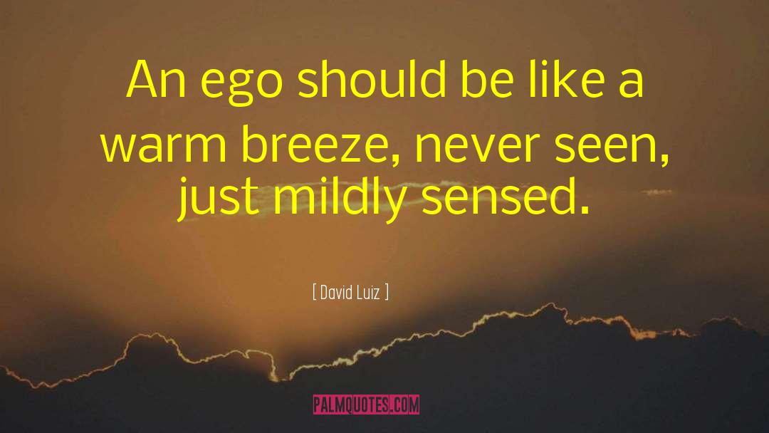 Stroking Ego quotes by David Luiz