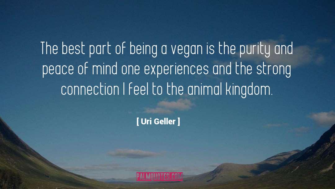 Strong Connection quotes by Uri Geller