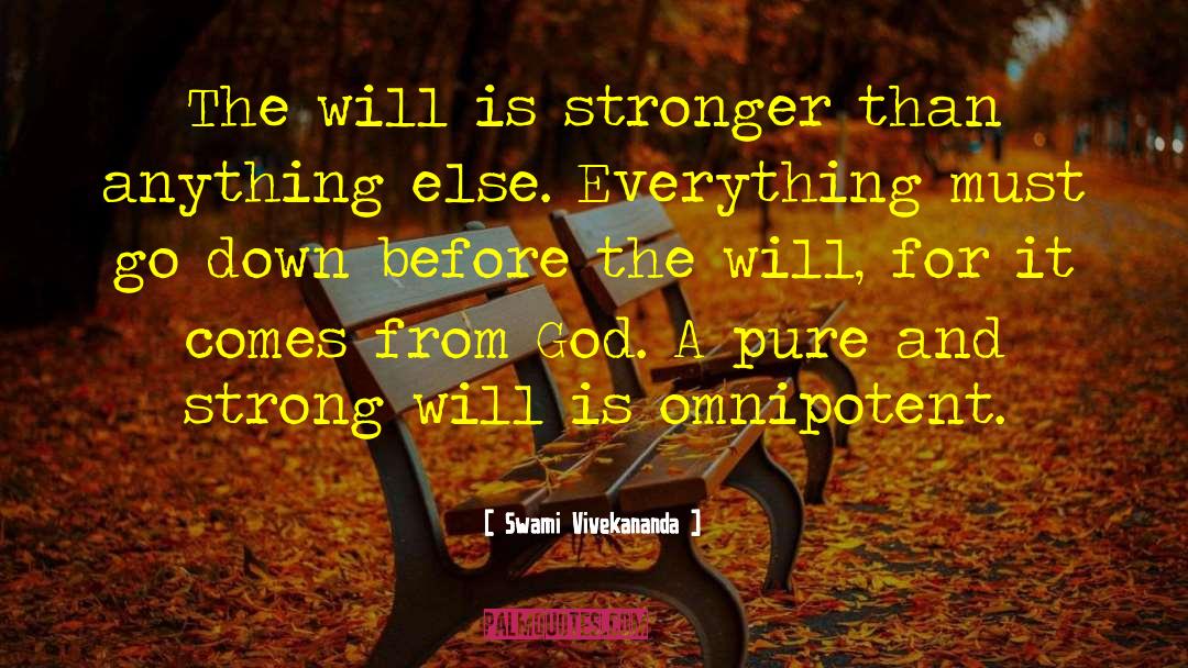 Strong Finishes quotes by Swami Vivekananda