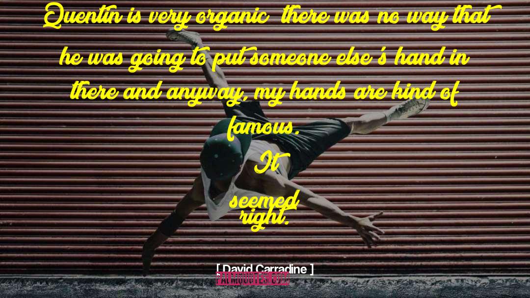 Strong Hands quotes by David Carradine