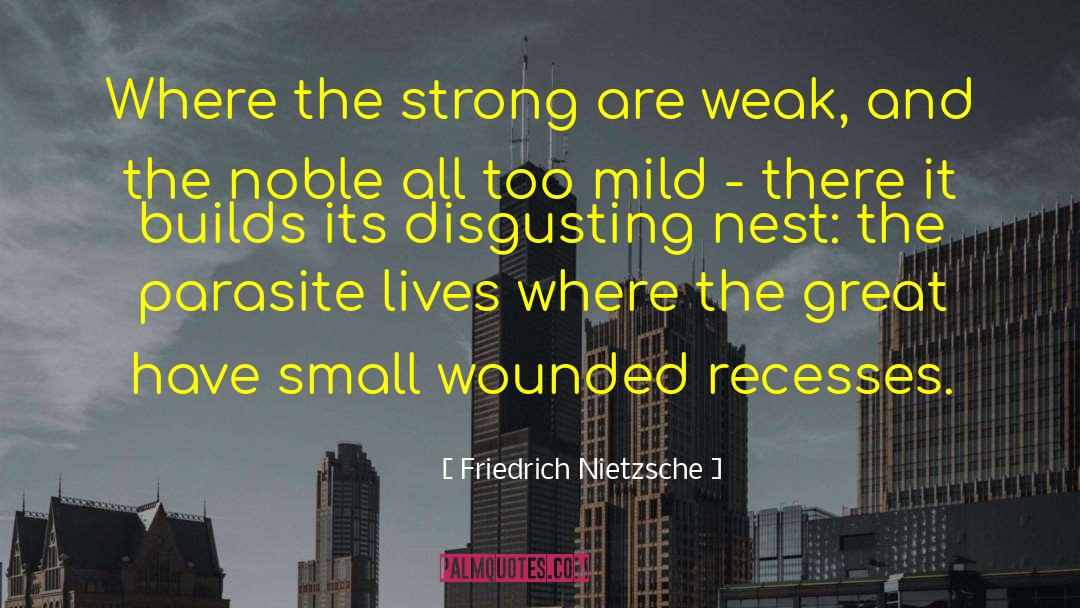 Strong Leaders quotes by Friedrich Nietzsche