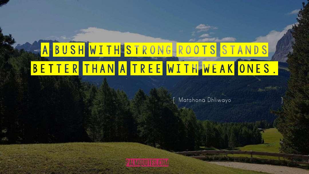 Strong Roots quotes by Matshona Dhliwayo