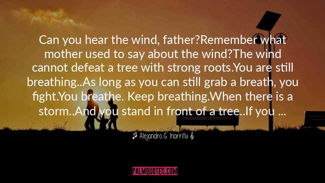 Strong Roots quotes by Alejandro G. Inarritu