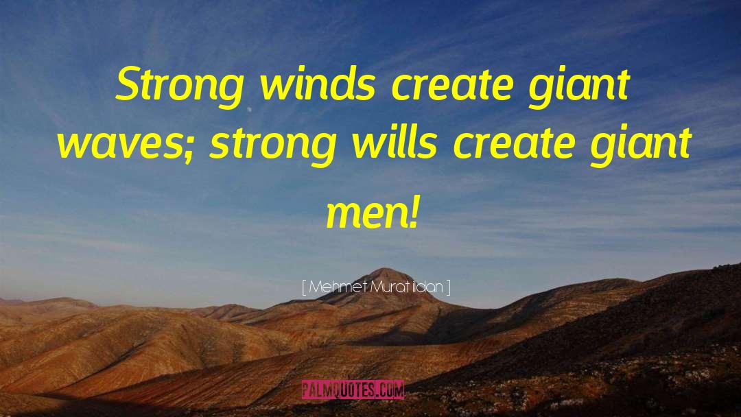 Strong Winds quotes by Mehmet Murat Ildan