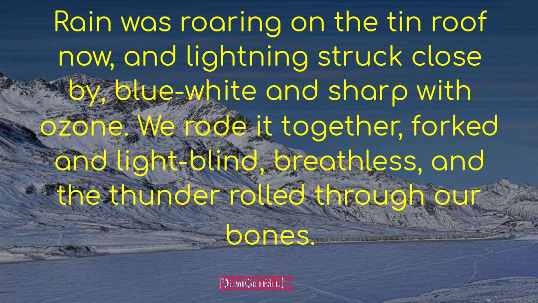 Struck By Lightning Malerie Baggs quotes by Diana Gabaldon