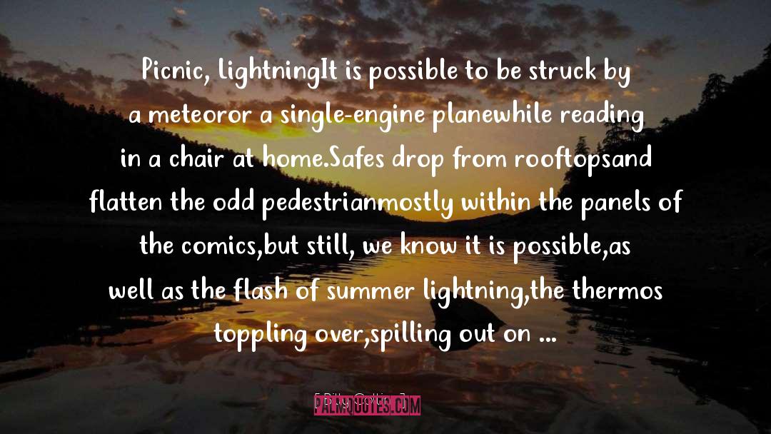 Struck By Lightning Malerie Baggs quotes by Billy Collins