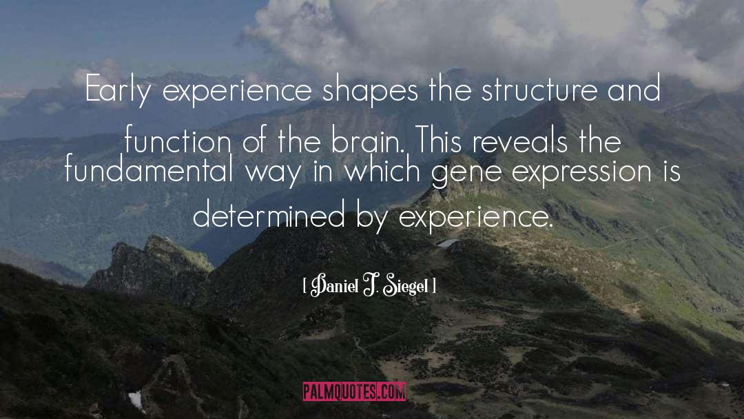 Structure quotes by Daniel J. Siegel