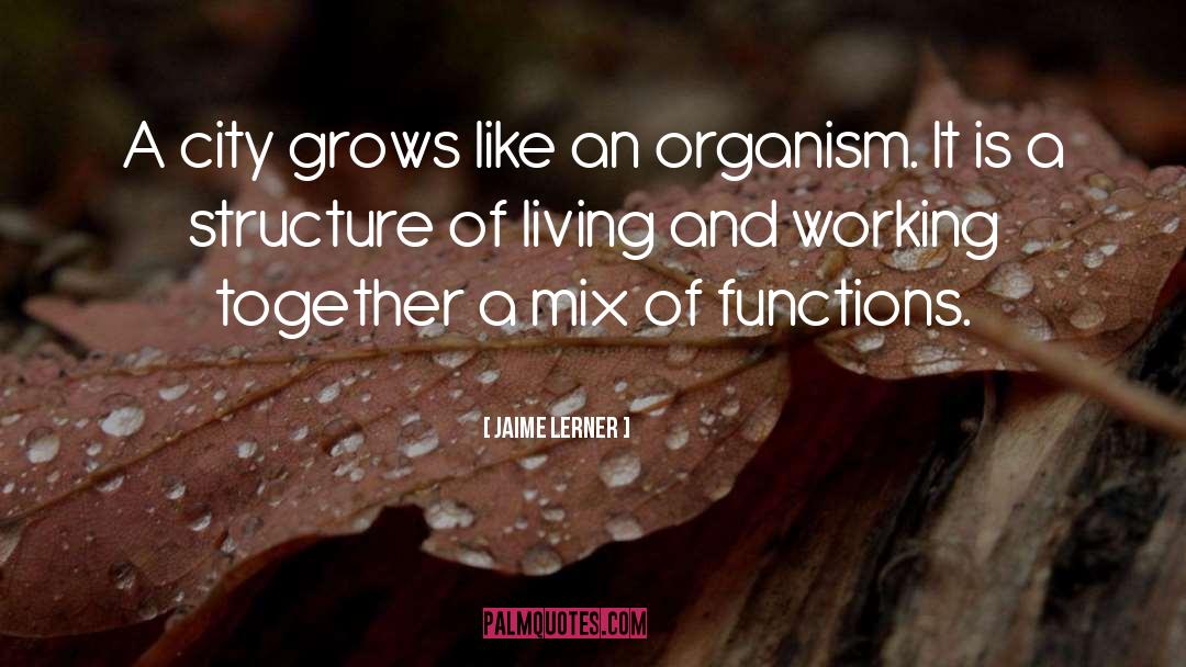 Structure quotes by Jaime Lerner