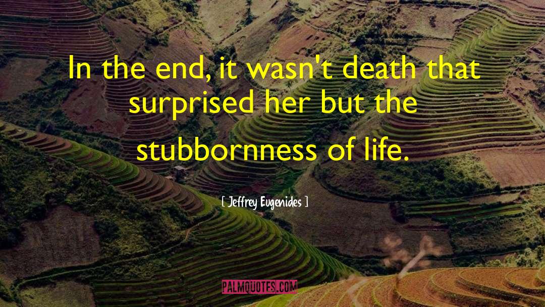 Struggles Of Life quotes by Jeffrey Eugenides