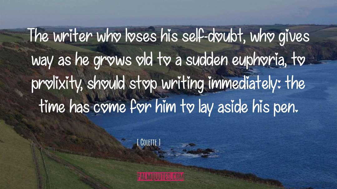 Struggling Writer quotes by Colette