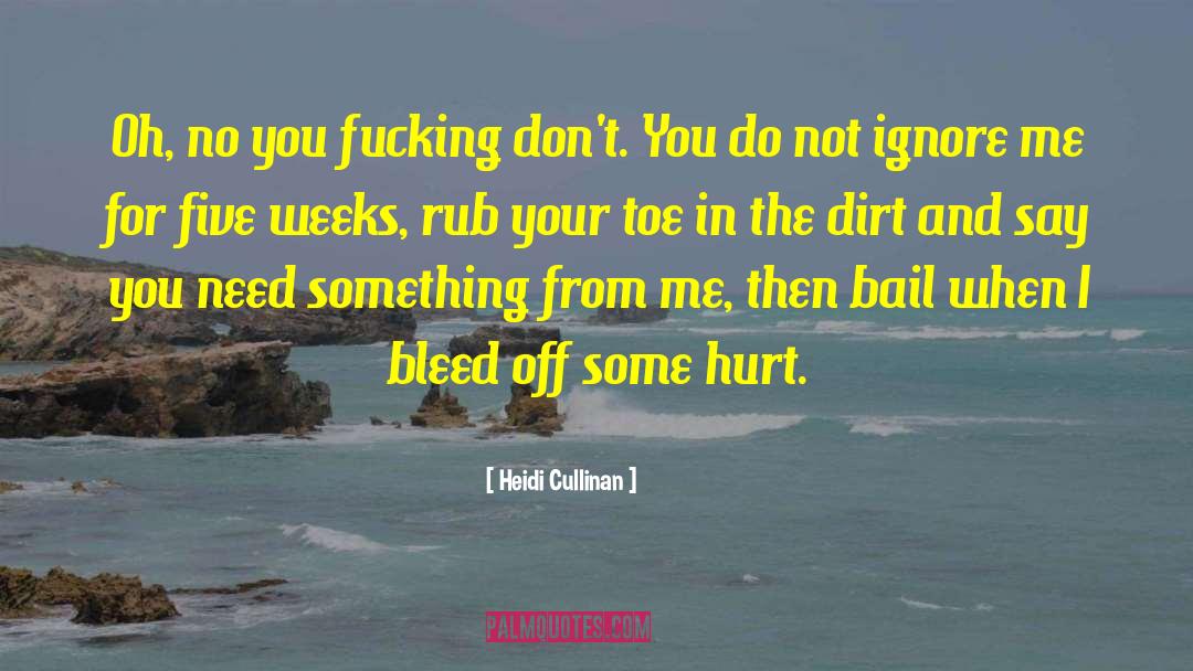 Stubbing Your Toe quotes by Heidi Cullinan