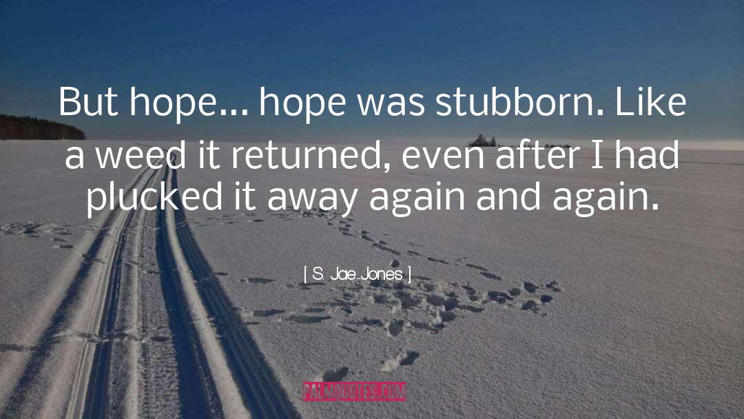 Stubborn quotes by S. Jae-Jones