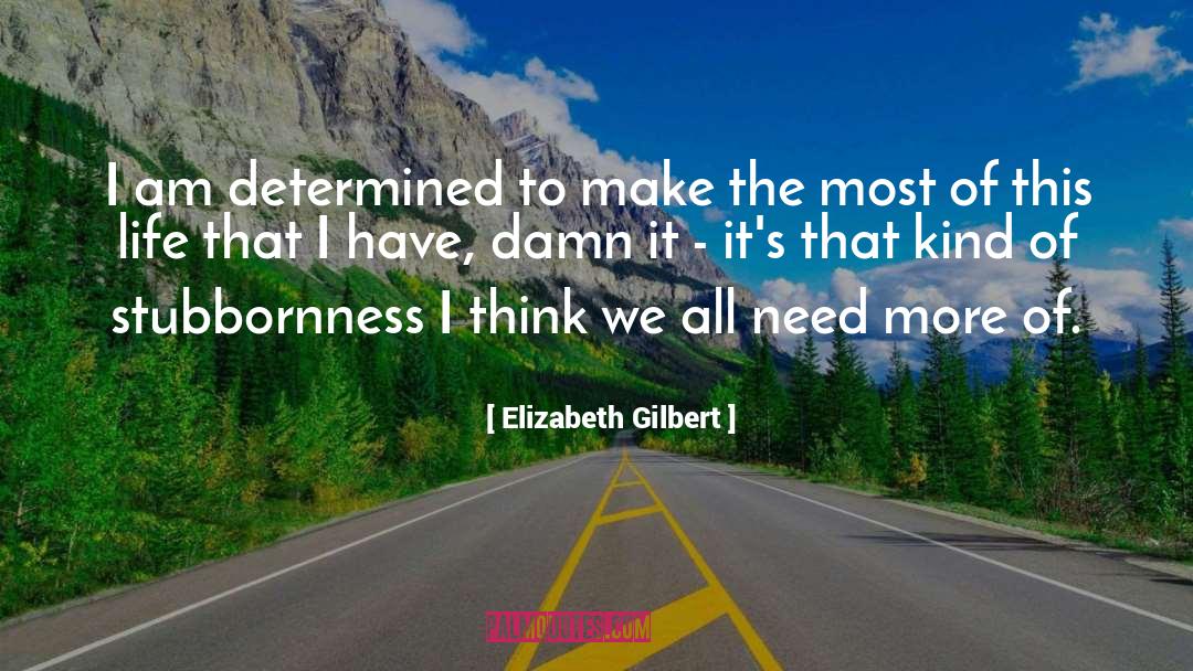Stubbornness quotes by Elizabeth Gilbert