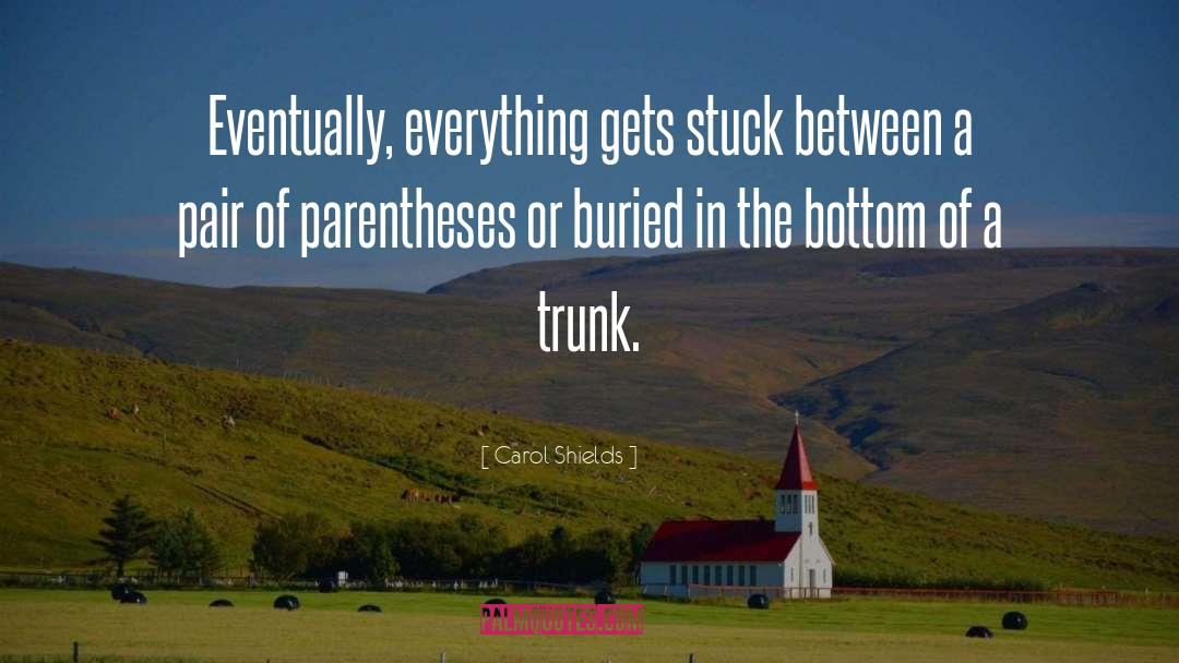 Stuck Between quotes by Carol Shields