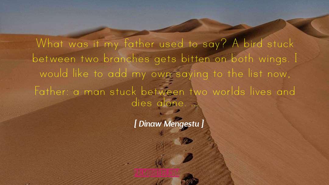 Stuck Between quotes by Dinaw Mengestu