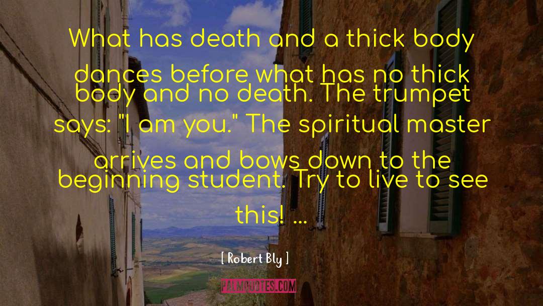 Student Centered quotes by Robert Bly