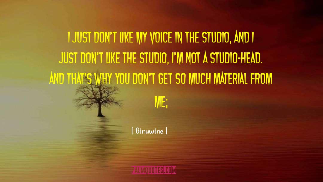 Studios quotes by Ginuwine