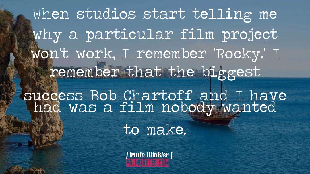 Studios quotes by Irwin Winkler