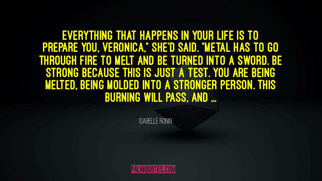 Stuff Happens quotes by Isabelle Ronin