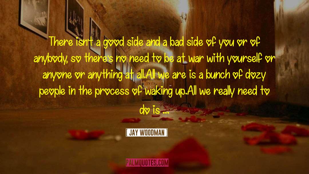 Stuff That Matters quotes by Jay Woodman