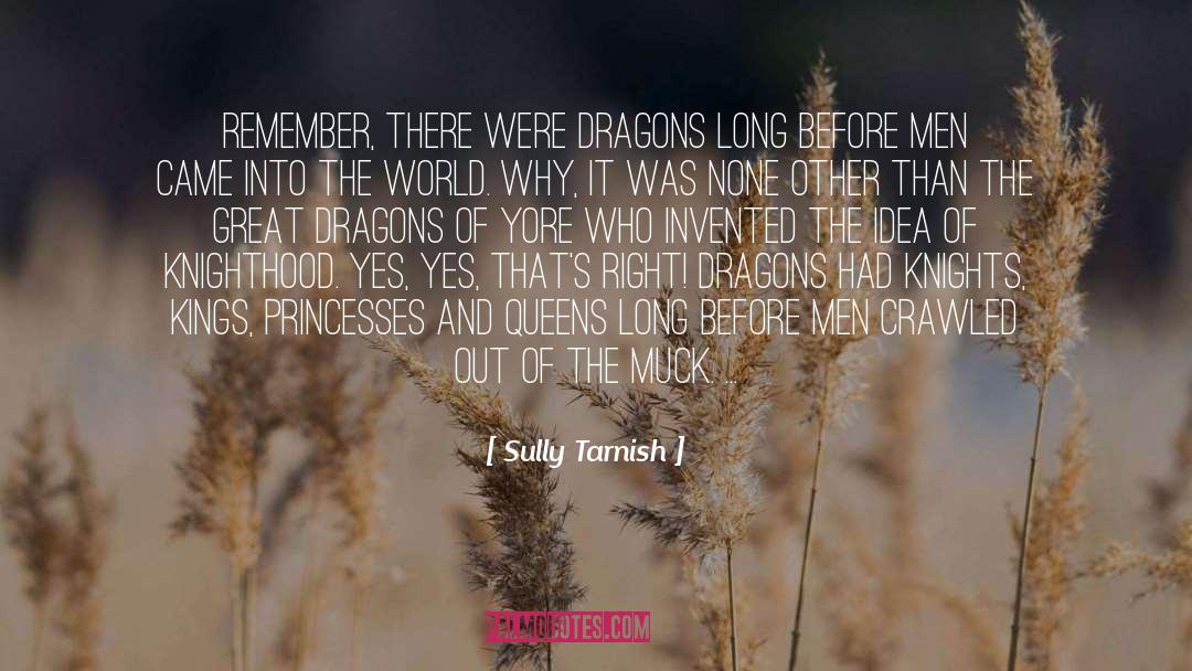 Stuff The Magic Dragon quotes by Sully Tarnish