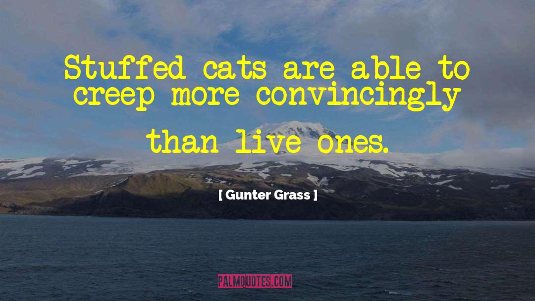 Stuffed Cats quotes by Gunter Grass