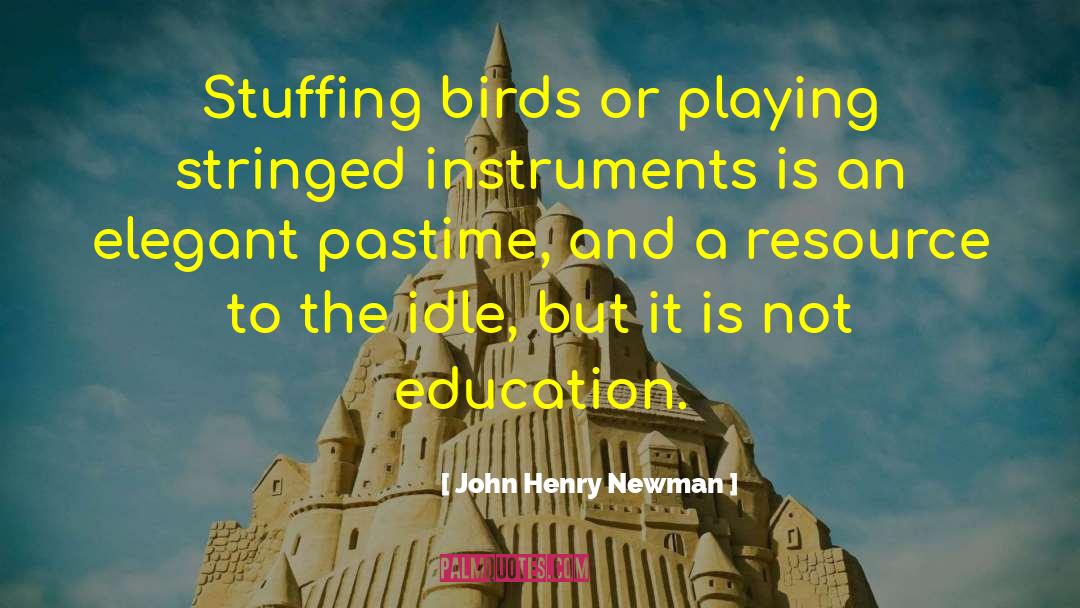 Stuffing quotes by John Henry Newman
