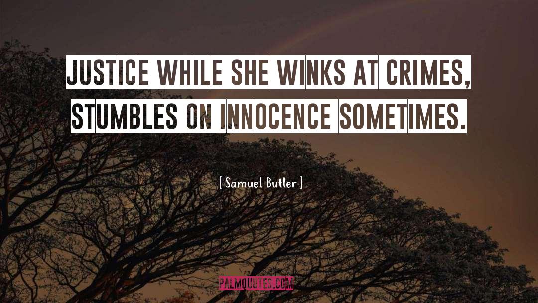 Stumbles quotes by Samuel Butler