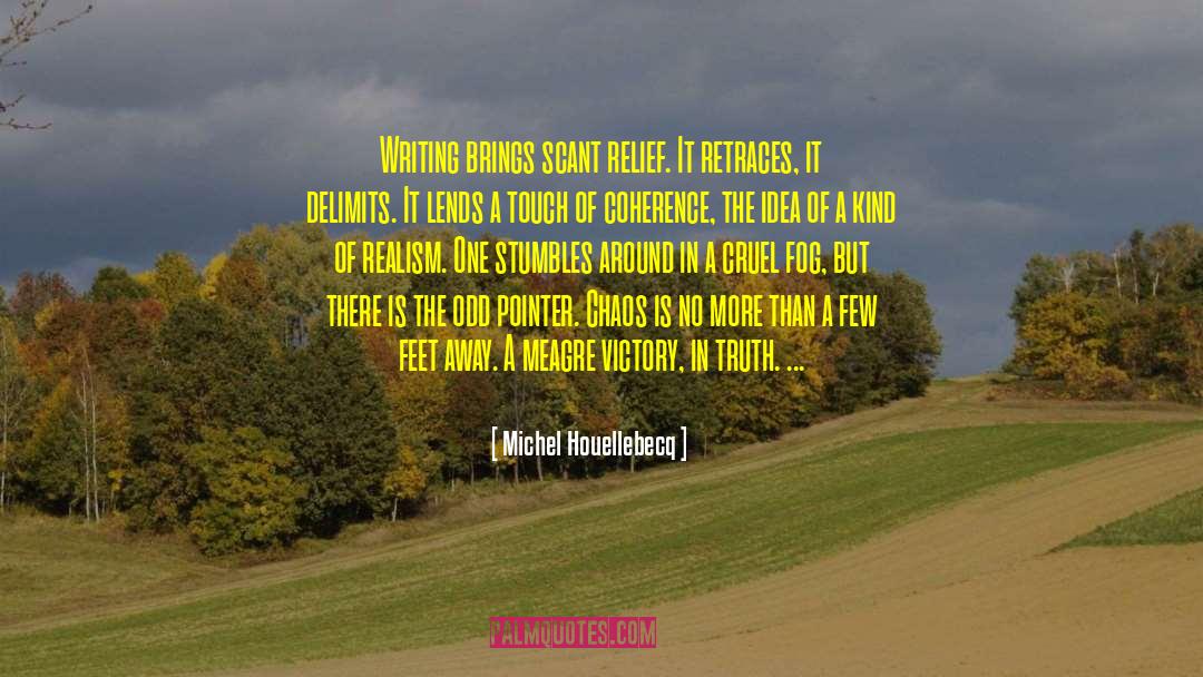 Stumbles quotes by Michel Houellebecq