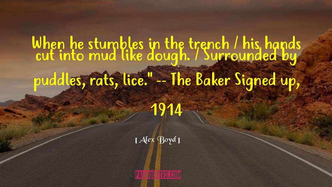 Stumbles quotes by Alex Boyd