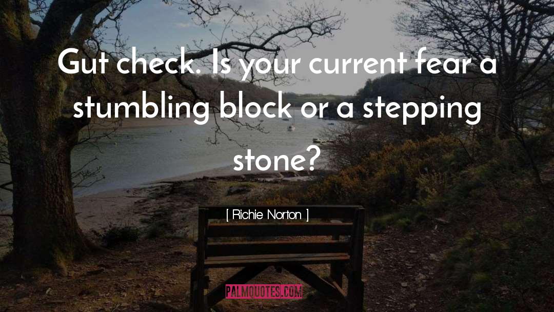 Stumbling Block quotes by Richie Norton
