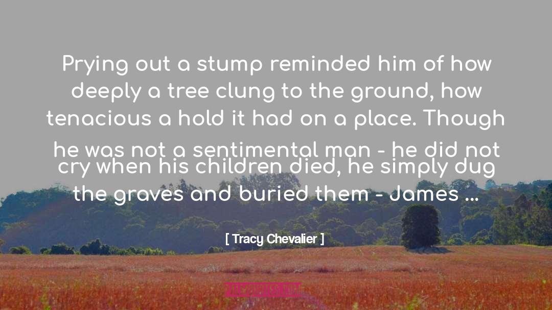Stump quotes by Tracy Chevalier