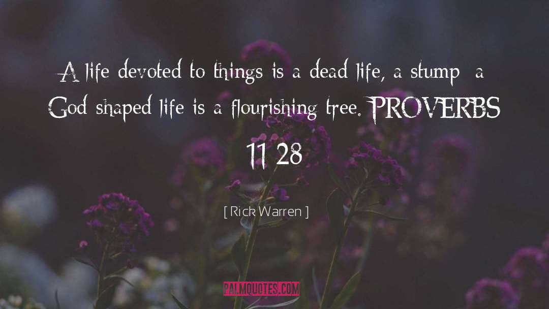 Stump quotes by Rick Warren