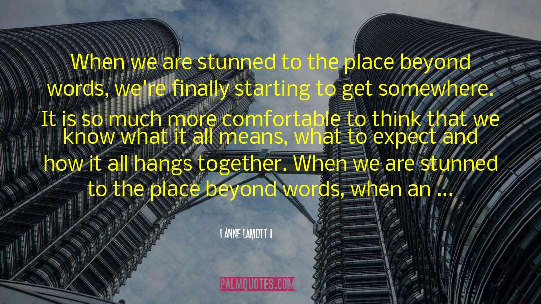 Stunned quotes by Anne Lamott