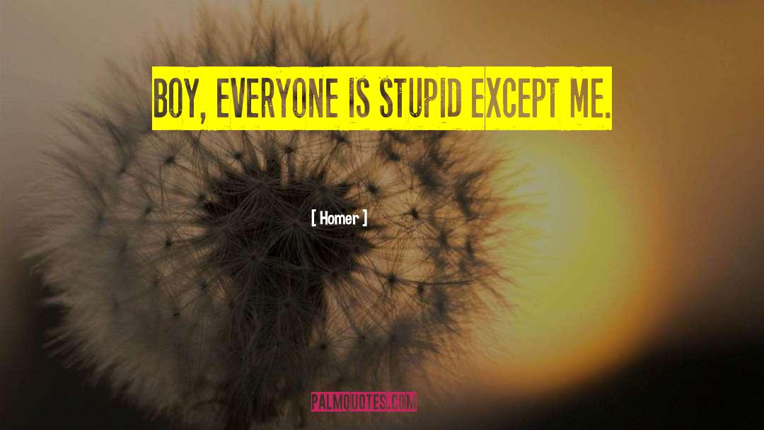 Stupid Boys quotes by Homer