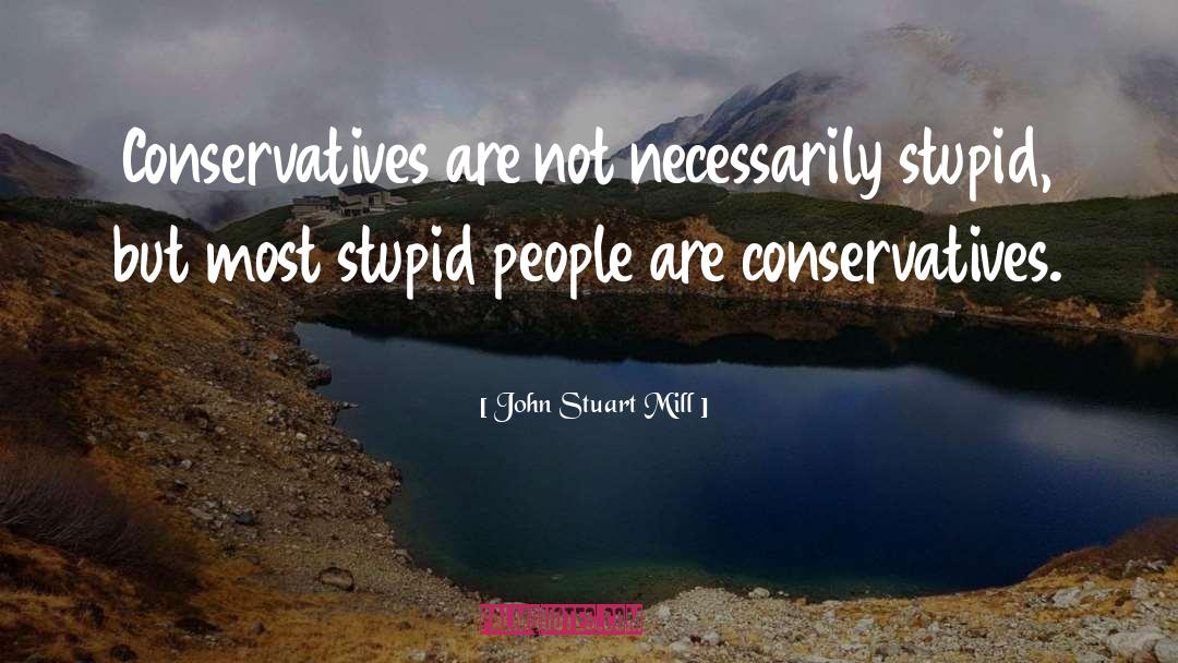 Stupid But Clever quotes by John Stuart Mill