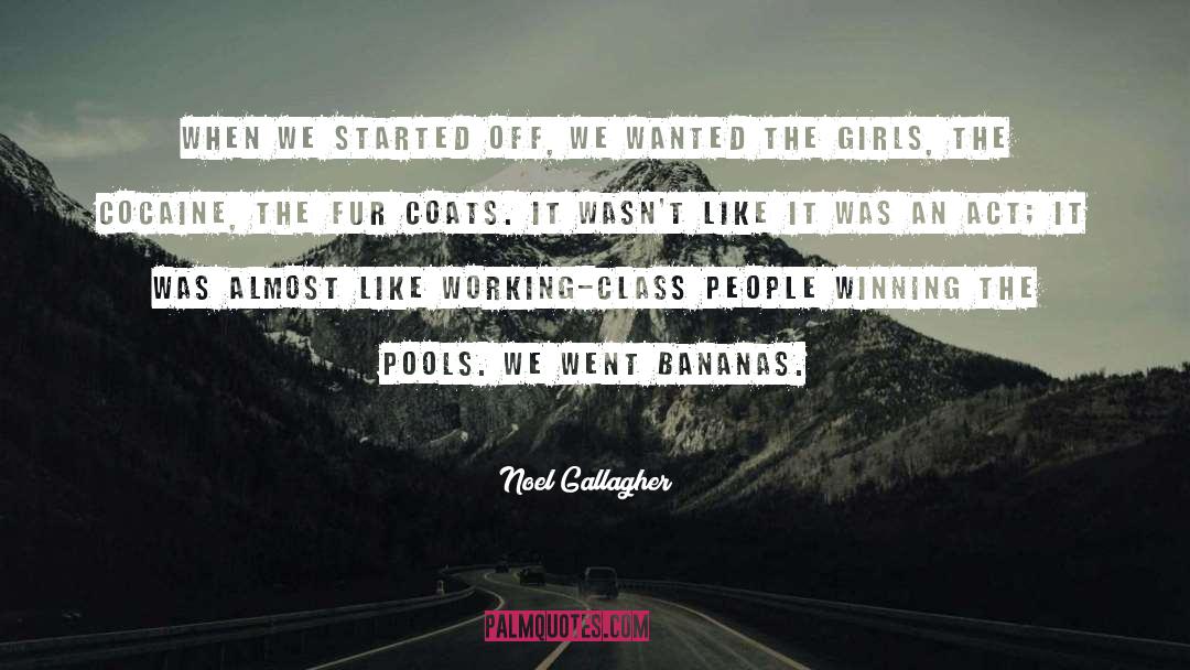 Stupid Girls quotes by Noel Gallagher