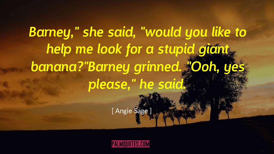 Stupid Hat quotes by Angie Sage