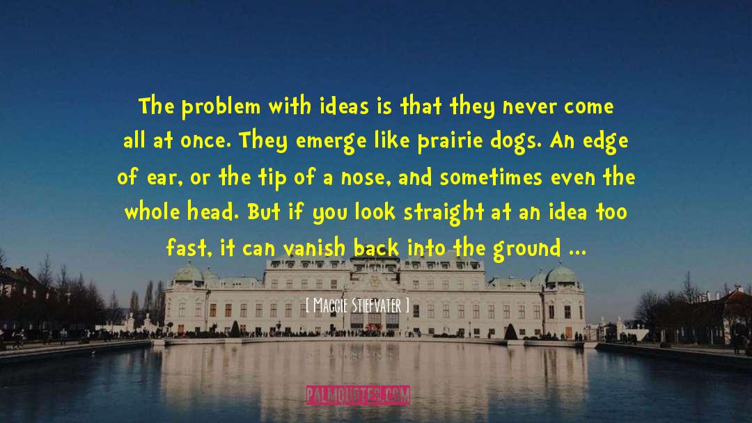 Stupid Ideas quotes by Maggie Stiefvater