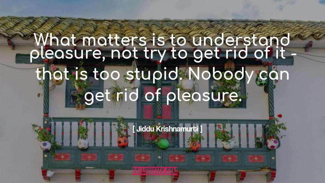 Stupid Jokes quotes by Jiddu Krishnamurti