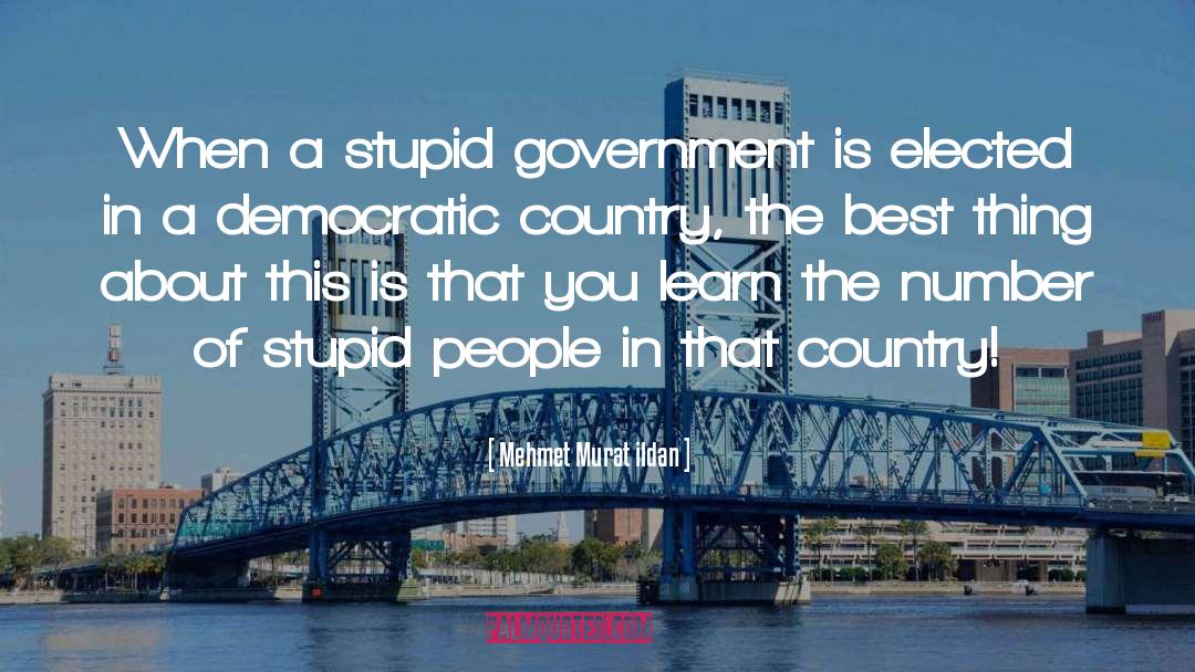 Stupid People quotes by Mehmet Murat Ildan