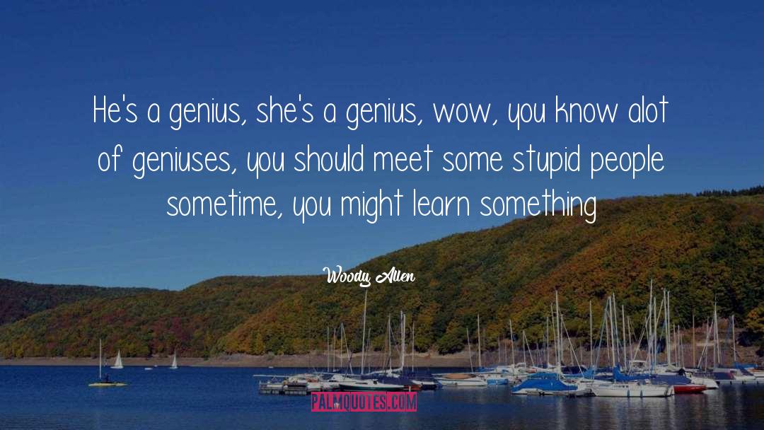 Stupid People quotes by Woody Allen