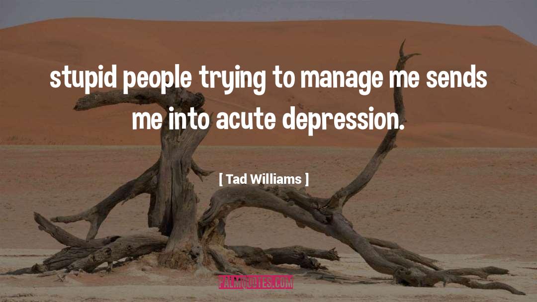 Stupid People quotes by Tad Williams