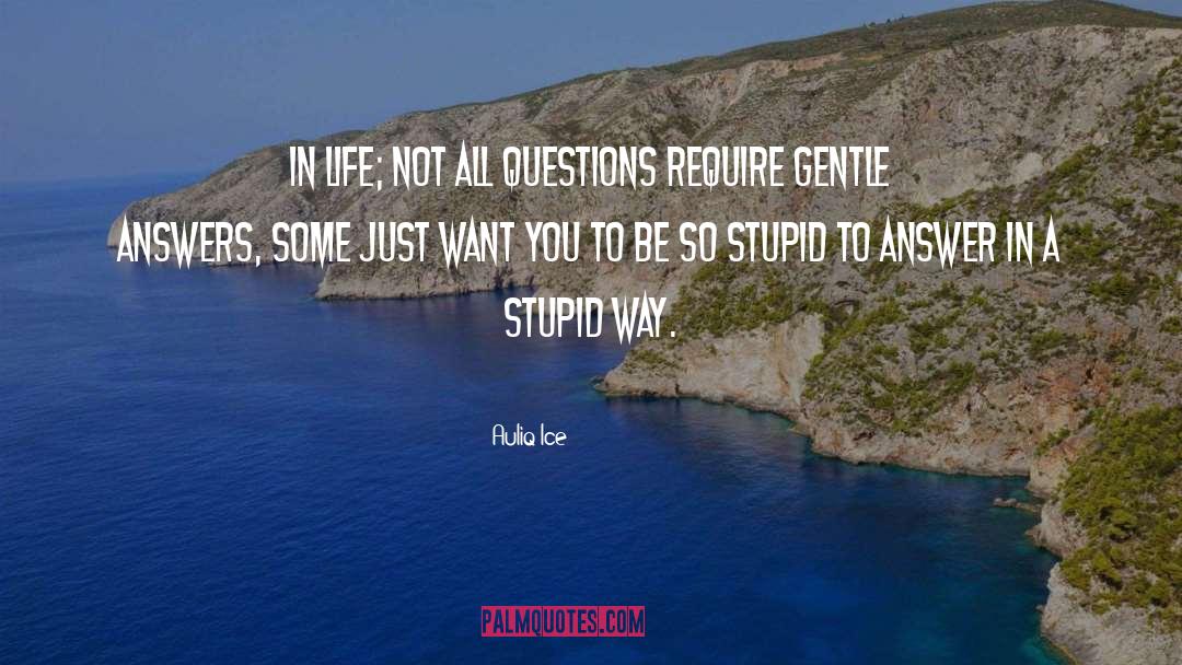 Stupid Questions quotes by Auliq Ice