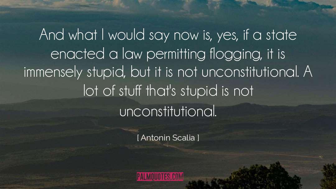 Stupid quotes by Antonin Scalia