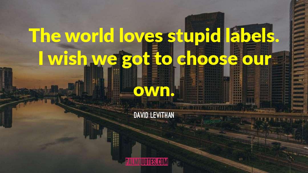 Stupid Reasoning quotes by David Levithan